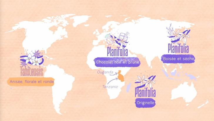 Un documentaire de Céline Desteve